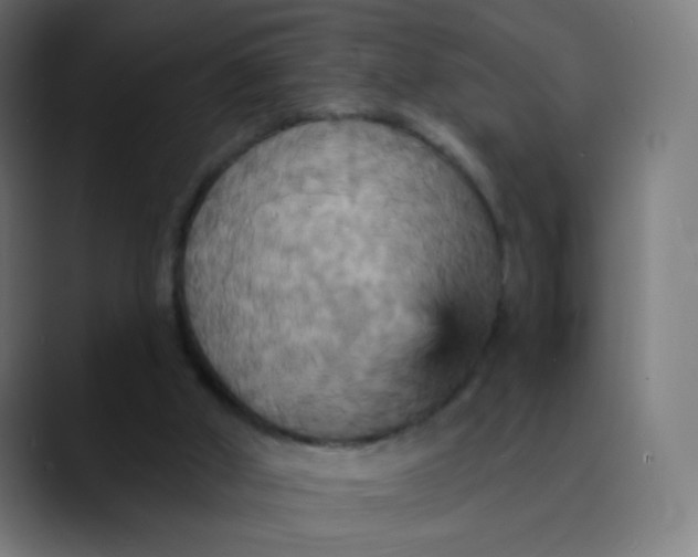X0000089720010200707121439