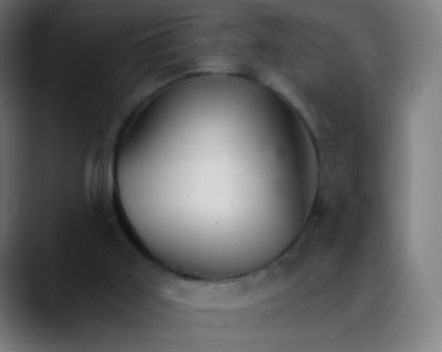 X0000089720011200707121439