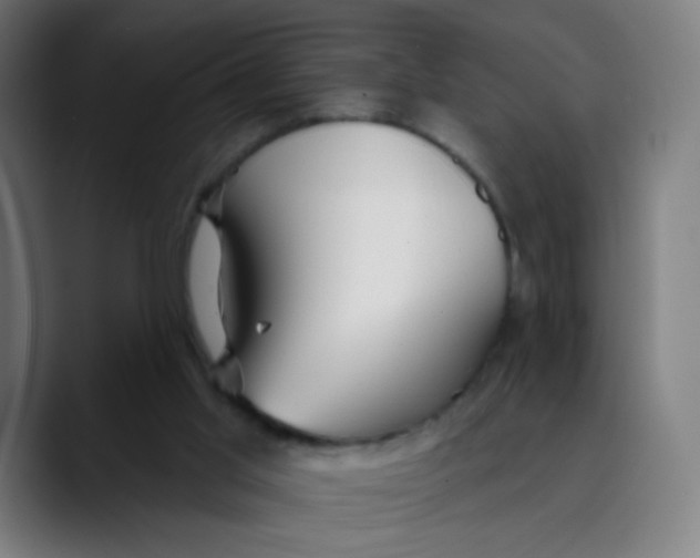 X0000089720013200707121439