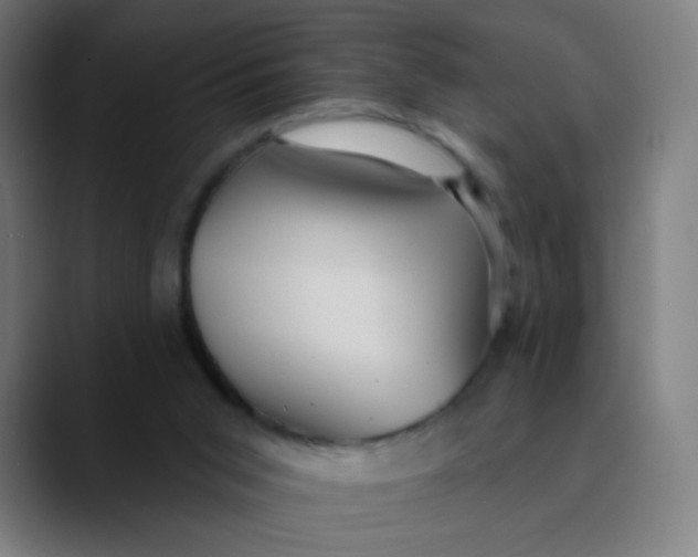 X0000089720015200707121439
