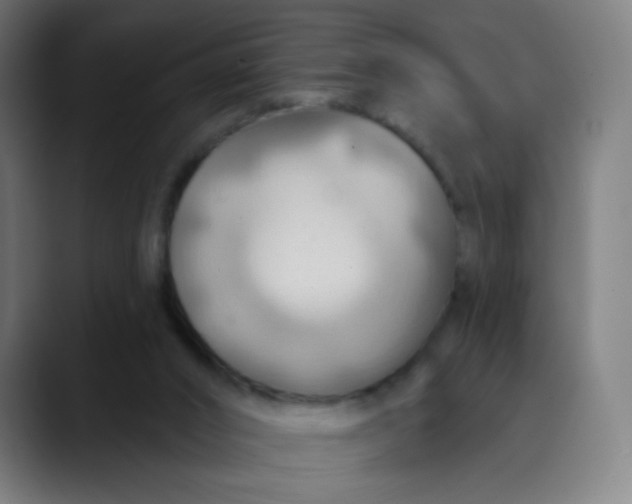 X0000089720016200707121439