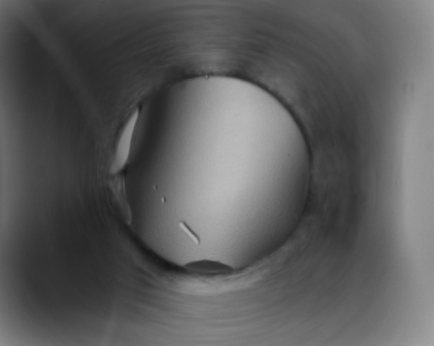 X0000089720017200707121439