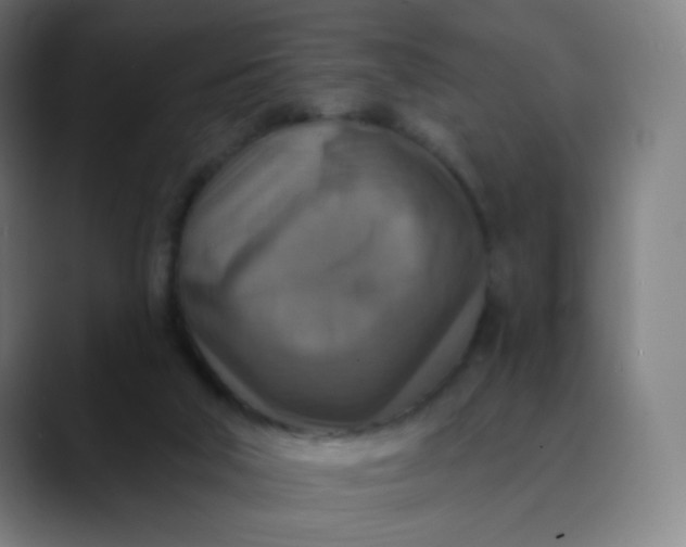 X0000089720018200707121439