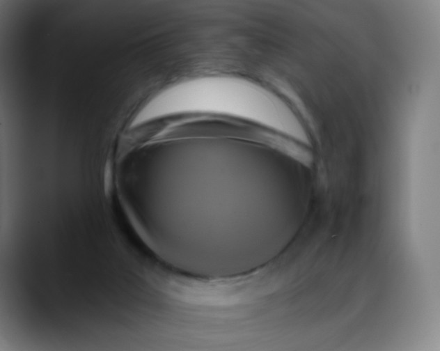 X0000089720019200707121439