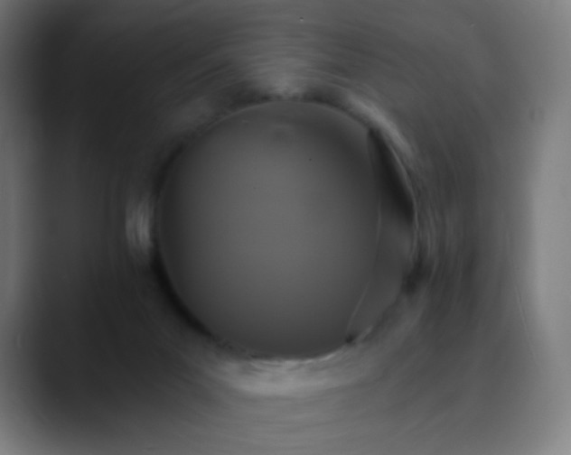 X0000089720023200707121439