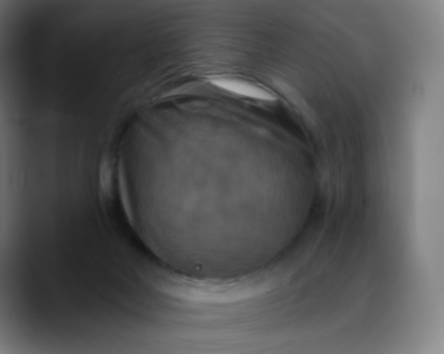X0000089720026200707121439