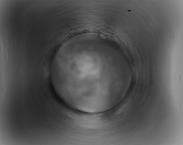 X0000089720032200707121439