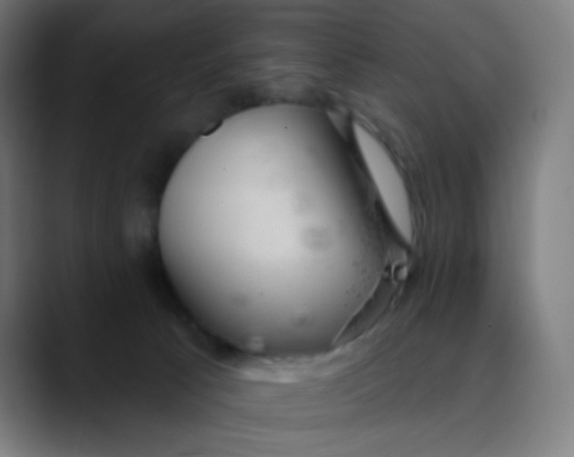 X0000089720033200707121439