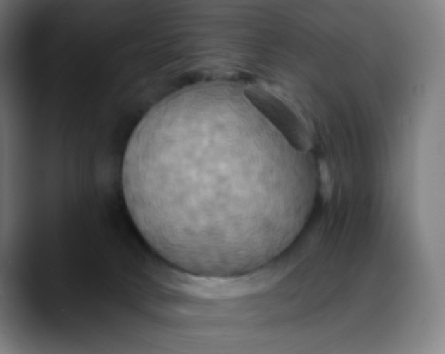 X0000089720034200707121439