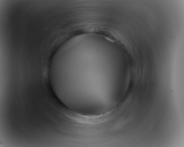 X0000089720035200707121439