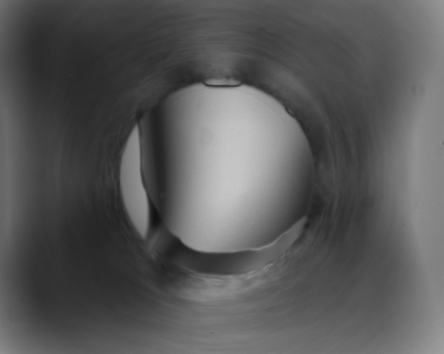 X0000089720037200707121439