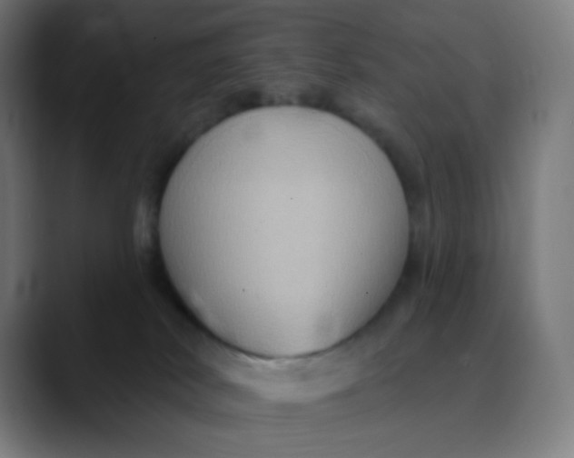 X0000089720038200707121439