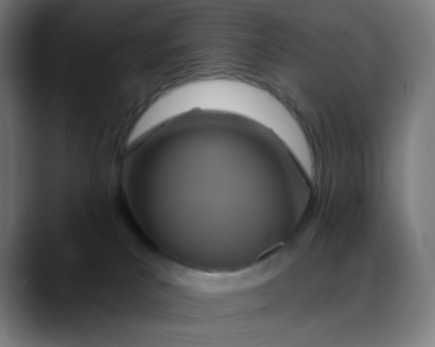 X0000089720039200707121439