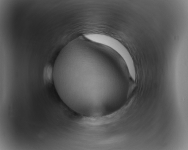 X0000089720041200707121439