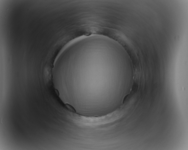 X0000089720043200707121439