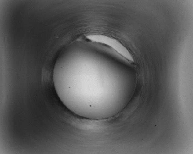 X0000089720044200707121439