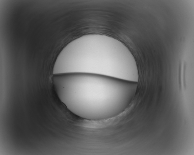X0000089720045200707121439