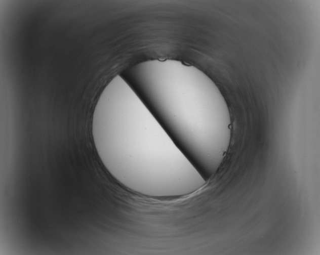 X0000089720048200707121439