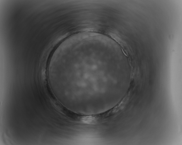 X0000089720050200707121438