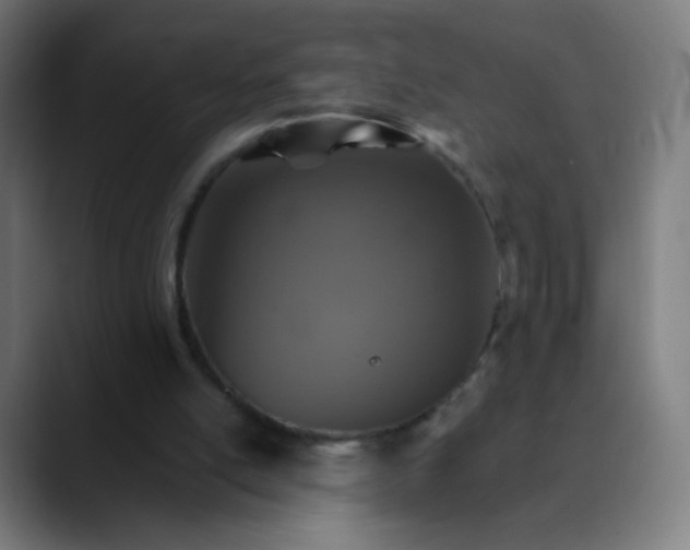 X0000089720054200707121438