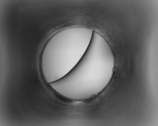 X0000089720055200707121438