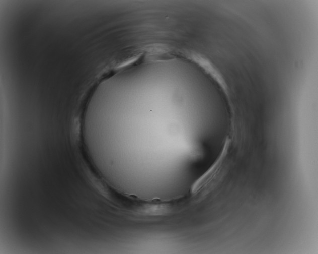 X0000089720057200707121438