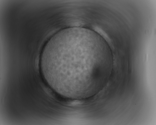 X0000089720058200707121438
