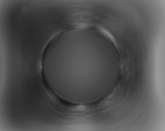 X0000089720059200707121438