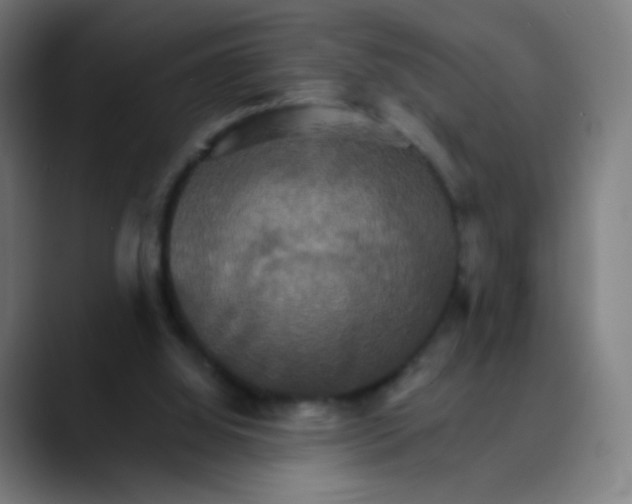 X0000089720060200707121438