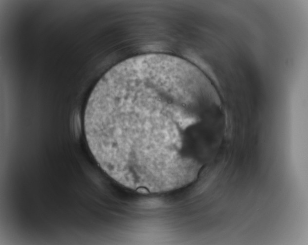 X0000089720061200707121438