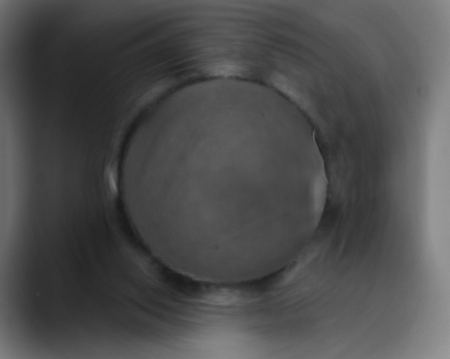 X0000089720062200707121438