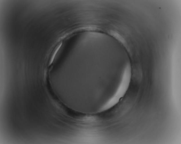X0000089720063200707121438