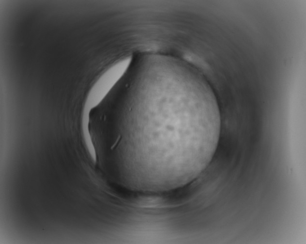 X0000089720066200707121438