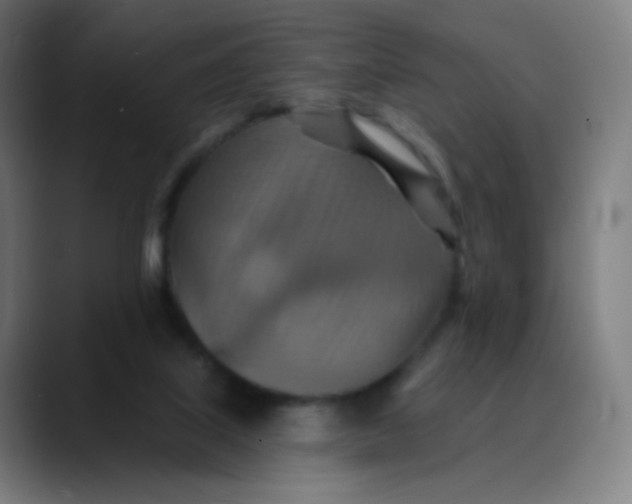 X0000089720067200707121438