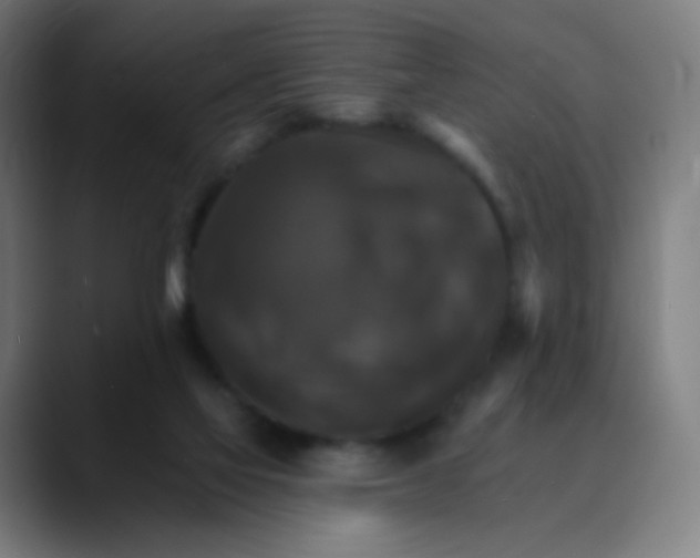 X0000089720069200707121438