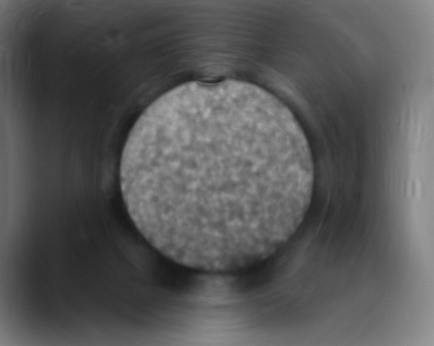 X0000089720073200707121439