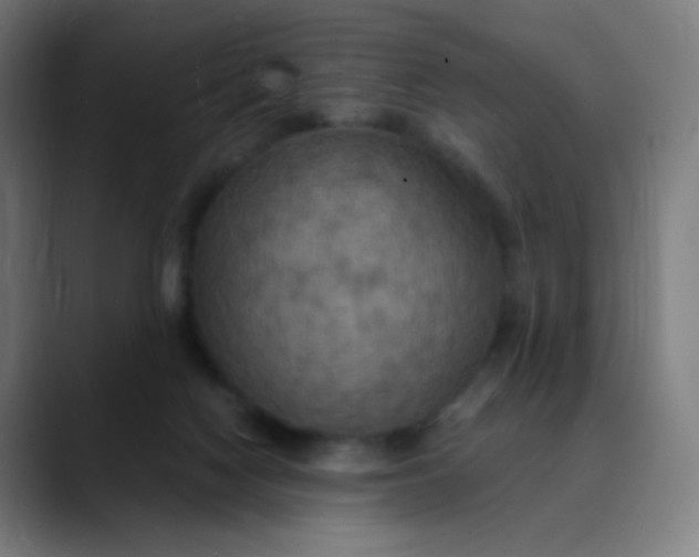 X0000089720074200707121439