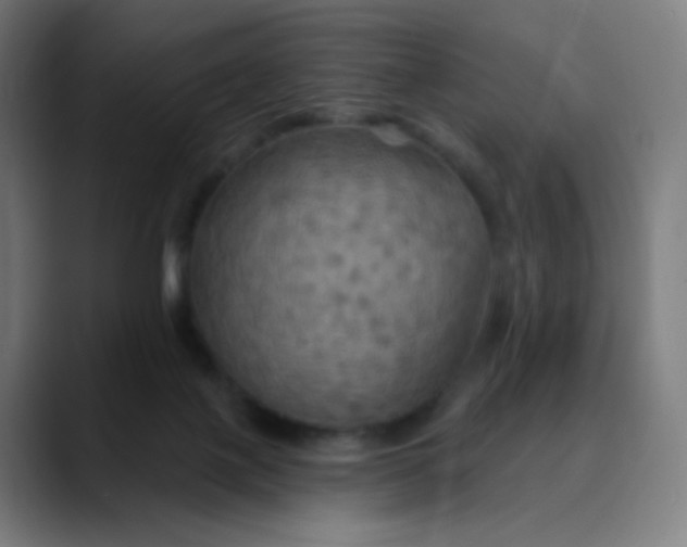 X0000089720075200707121439