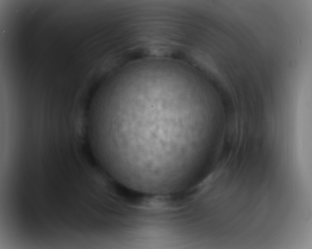 X0000089720078200707121439
