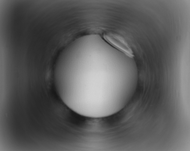 X0000089720079200707121439