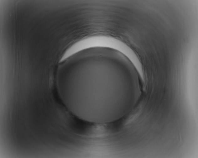 X0000089720080200707121439