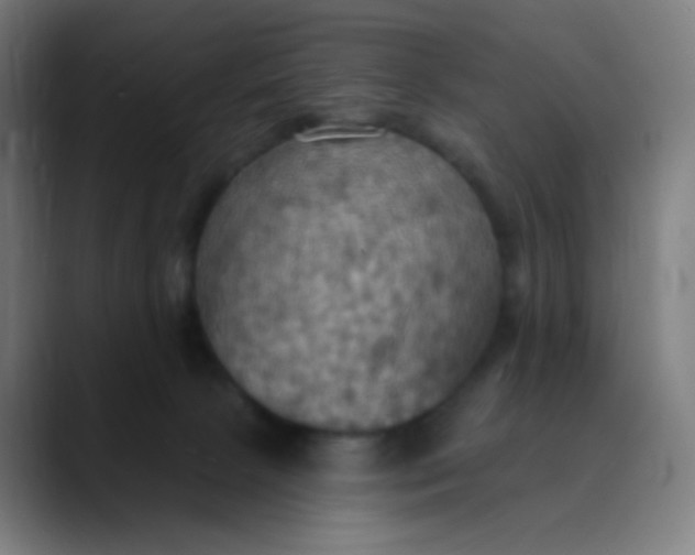 X0000089720081200707121439
