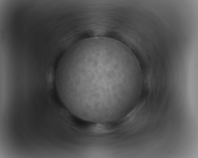 X0000089720082200707121439
