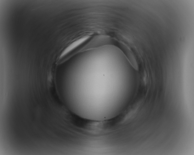 X0000089720084200707121439