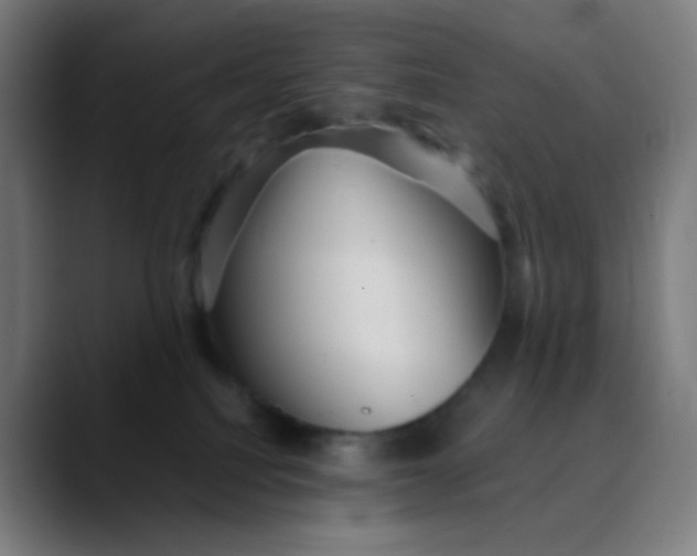 X0000089720088200707121439