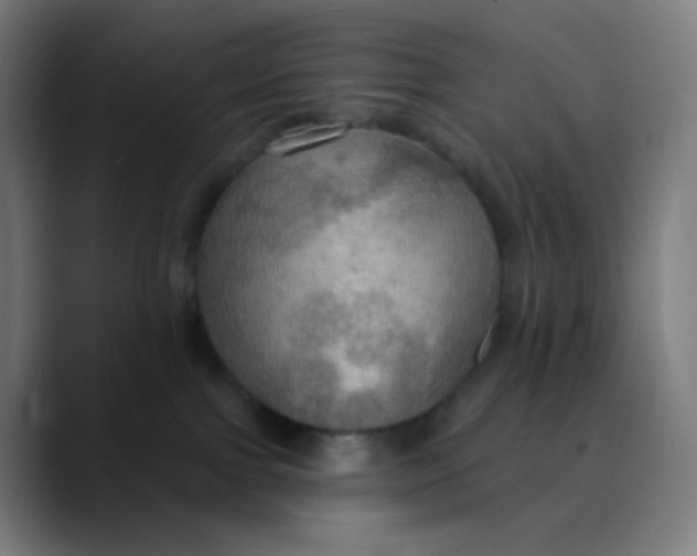 X0000089720091200707121439