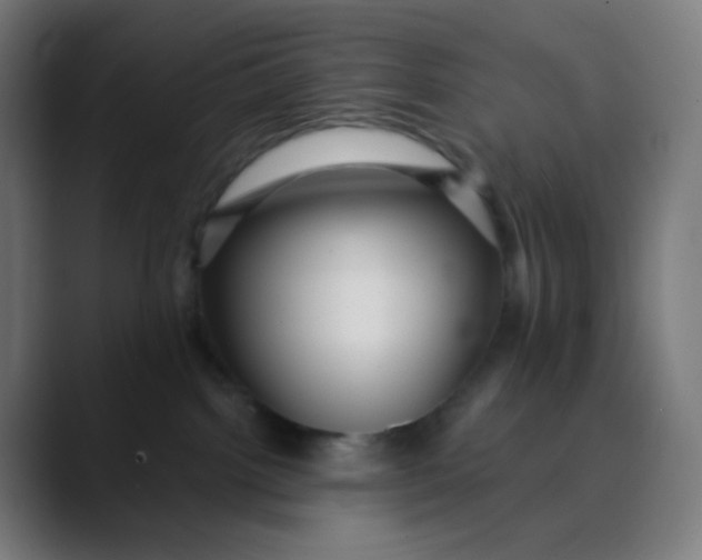 X0000089720092200707121439