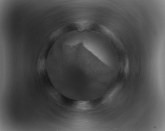 X0000089720093200707121439