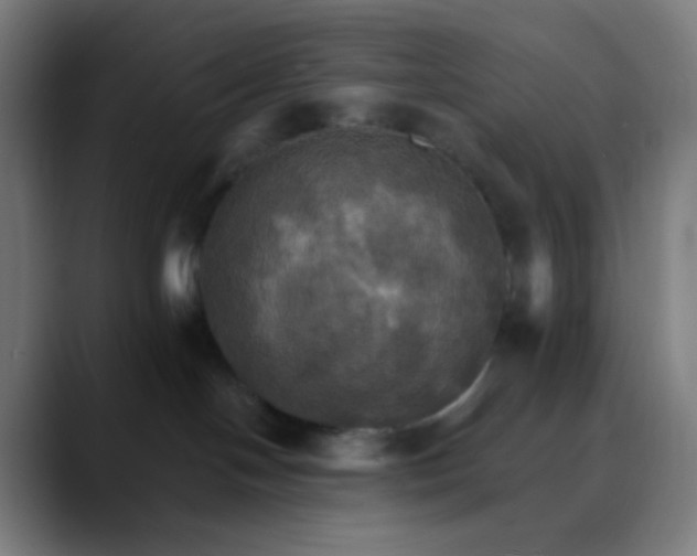 X0000089720094200707121439