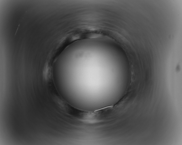 X0000089720096200707121439